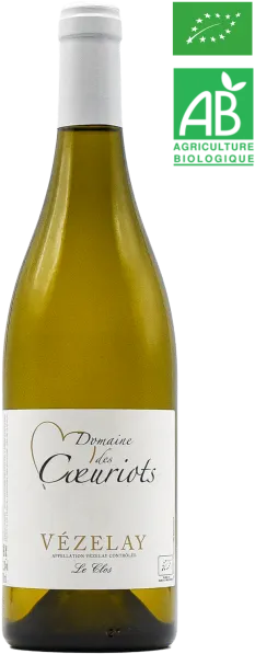 vue du vin Domaine des Coeuriots Vézelay "Clos" 2023