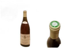 capture du vin Chassagne-Montrachet 1er Cru 1997 Clos Saint Jean Domaine Thénard