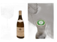 image du vin Chassagne-Montrachet 1er Cru 2011 Boudriotte Domaine Ramonet