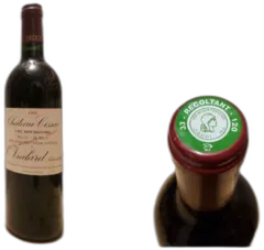 photo du vin Château Cissac 1999