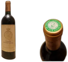 image du vin Château Gruaud-Larose 1995