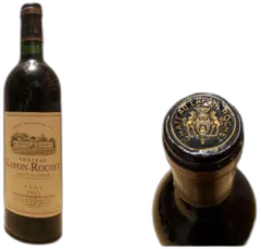 photo du vin Château Lafon-Rochet 1999