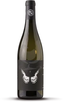 illustration du vin Carignan Blanc