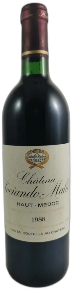 vue du vin Château Sociando-Mallet 1988