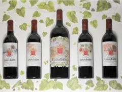 photo du vin Langoa Barton
