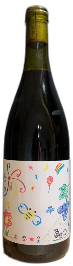 vue du vin Vin de France Lot 17 Hirotaké Ooka, Domaine de la Grande Colline