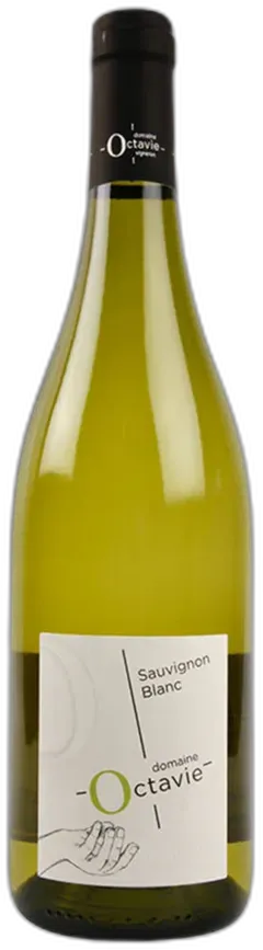 photo du vin Touraine Sauvignon Blanc