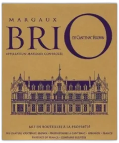vue du vin Brio de Cantenac Brown