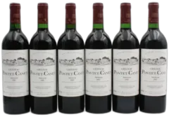 aperçu du vin Pontet Canet