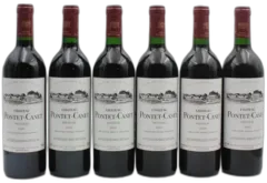 aperçu du vin Pontet Canet