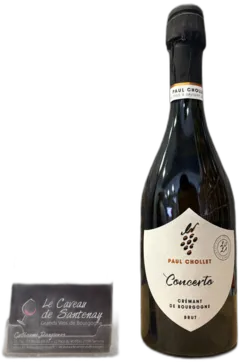 photo du vin Crémant de Bourgogne Concerto 2021 Domaine Paul Chollet