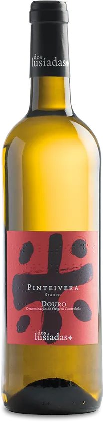 vue du vin Pinteivera