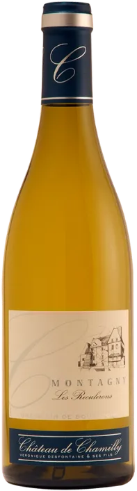vue du vin Château de Chamilly Montagny les Bassets