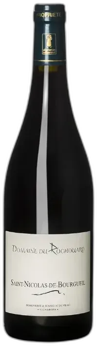 aperçu du vin Saint Nicolas de Bourgueil la Pierre du Lane 2023 Domaine du Rochouard