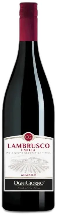 photo du vin Lambrusco Emilia Italie Ogni Giorno