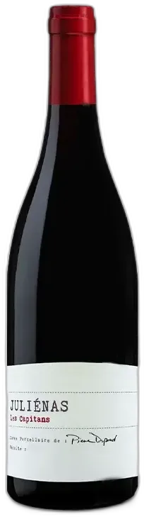 vue du vin Juliénas 2021 Pierre Dupond