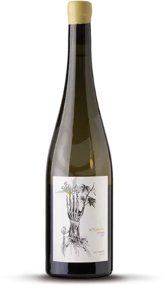 photo du vin Mittelbourg Sylvaner