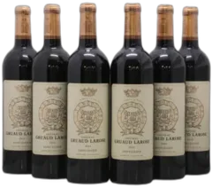 vue du vin Gruaud-Larose