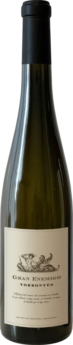 vue du vin Mendoza Chardonnay el Enemigo