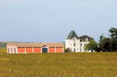 image du vin Château l’Evangile