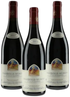 photos du vin Rdv 2025 Verticale Feusselottes