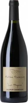 photo du vin Saumur Champigny les Poyeux Antoine Sanzay Bio