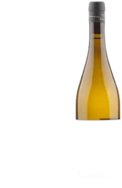 illustration du vin Vin de France Savagnin Jurassique