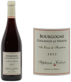 vue du vin Bourgogne Coulanges-la-Vineuse "au Coeur de Framboise"