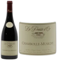 image du vin Chambolle-Musigny