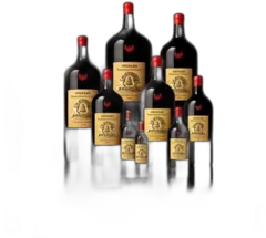 photos du vin Angélus