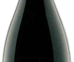 photo du vin Trentino Pinot Nero Doc 'Vigna Cantanghel' 2023 Maso Cantanghel