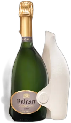 image du vin R de Ruinart Brut Second Skin Magnum