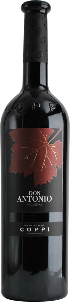 photo du vin Don Antonio Primitivo