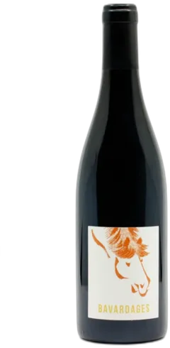 photo du vin Offre 5 1 Jeanne Germain Saumur Champigny Bavardages 2023