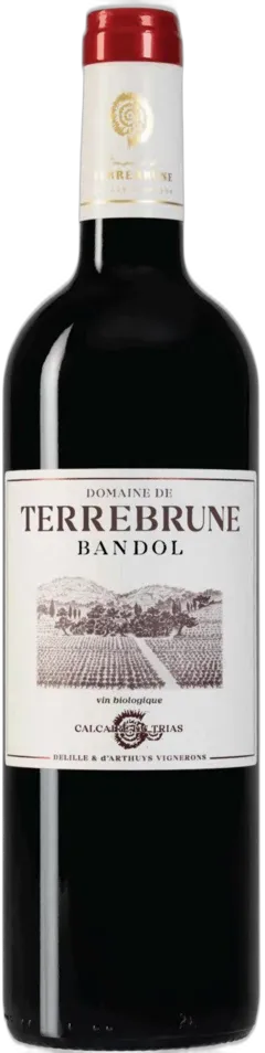 vue du vin Domaine de Terrebrune
