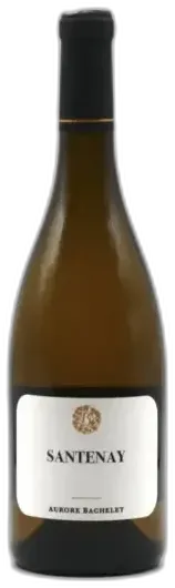 illustration du vin Aurore Bachelet