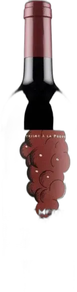 vue du vin Petit Mouton de Rothschild