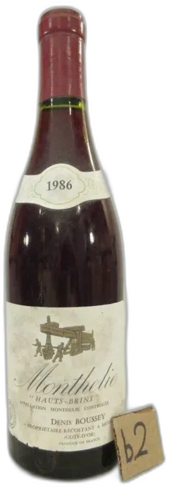 vue du vin Haut-Brins