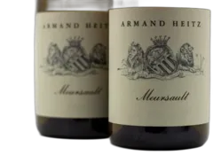 illustration du vin Meursault Blanc