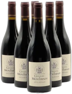 vue du vin Juliénas Château de Monternot x 6