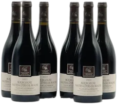 image du vin Hautes-Côtes de Beaune Alexandre Parigot x 6