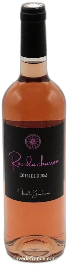 vue du vin Côtes de Duras Roc du Charron