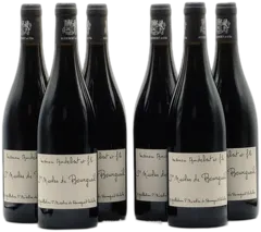 photos du vin Saint Nicolas de Bourgueil Audebert x 6
