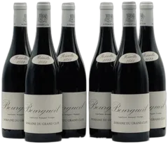 photo du vin Bourgueil Domaine du Grand Clos Audebert et Fils x 6