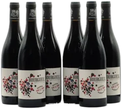 photo du vin Bourgueil Sur le Fruit Audebert x 6