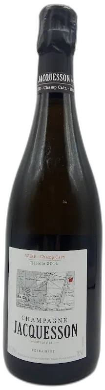vue du vin Extra Brut Millesime Champ Cain
