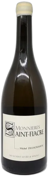 vue du vin Les Vignes Saint Vincent Michel Delhommeau