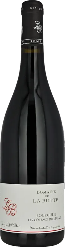 aperçu du vin Domaine de la Butte les Côteaux du Levant Bourgueil Rouge 2022
