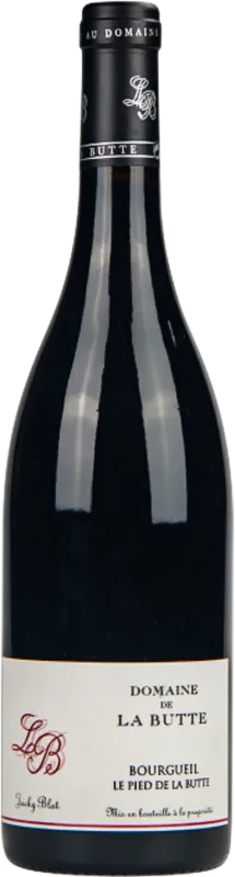 vue du vin le Pied de la Butte