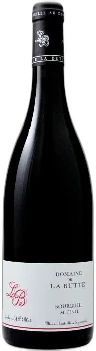 image du vin Bourgueil mi-Pente 2022